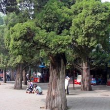 Temple of Heaven