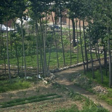 View of Hebei from train to Chengde