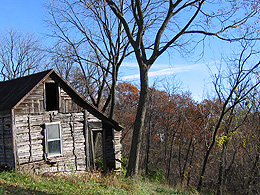 Ramshackle cabin and woods in hilly terrain
