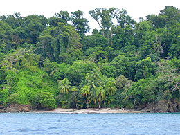 Costa Rica Beach in Drake's Bay