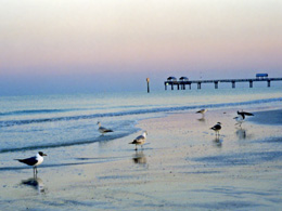 Dawn on the beach