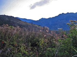 Dawn in the mountains of Taiwan