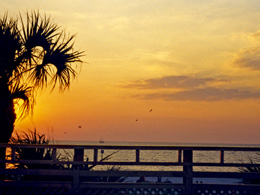 Sunset with palm and a boat out on the Gulf of Mexico