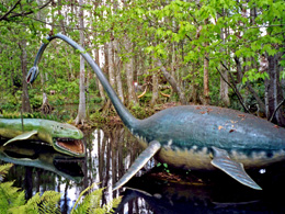 Elasmosaurus in Florida tourist attraction