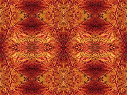 A repeating rhythmic pattern of leaf surfaces
