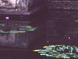 Garden pond in the Lin family compound in Banchaio, Taiwan (near Taipei)