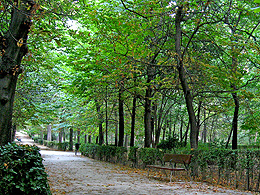 Summer evening in Retiro Park in Madrid