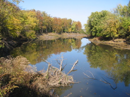 Reflective water on the calm Sangamon with fall colors on trees along the banks