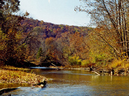 The colors of autumn and an Ozark stream