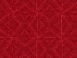 An abstract geometric pattern made with red leaves