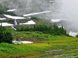 Short hike at Logan Pass