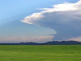 grass of a prairie, blue of the sky, and white and grey of clouds gathering for a storm