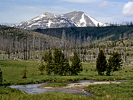 A mountain looms in the background over a scene of burned trees, with a green meadow in the foreground