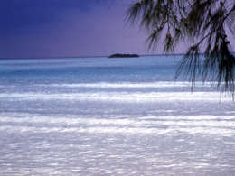 View of the Atlantic from Grand Bahama Island