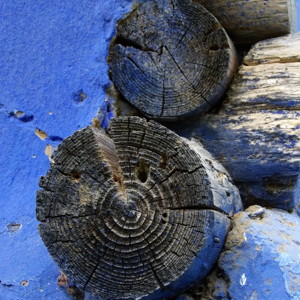 The corner of a house in Romania. As you can see the beautiful rings on the logs.