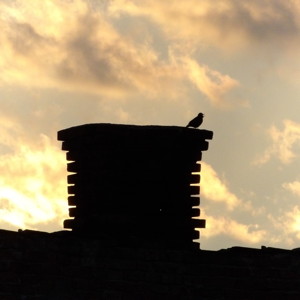 A silhouette of a bird on a chimney during sunset in Romania