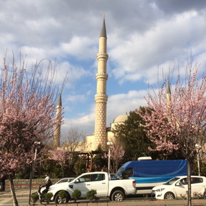 Springtime in Edirne, Turkey.