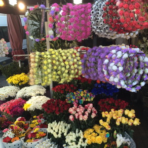Flowers in Taksim Square in Istanbul, Turkey.
