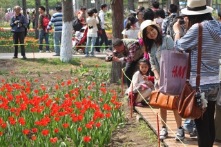 Botanical Gardens