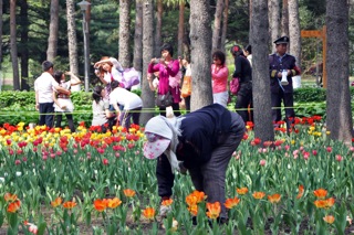 Botanical Gardens