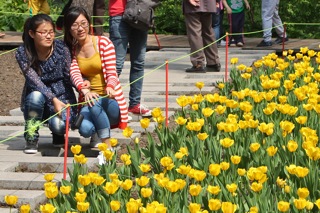 Harbin Botanical Gardens