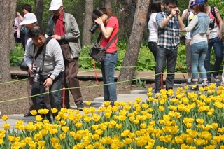 Scene in the Botanical Gardens