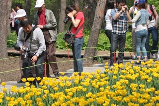 Scene in the Botanical Gardens