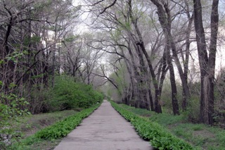 Scene during walk to the west from Heilongjiang University