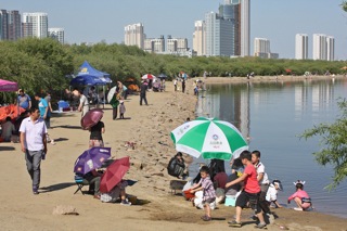 Day of the family picnic