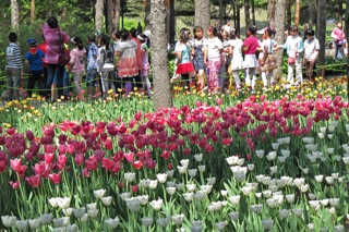 Harbin Forest Botanical Gardens