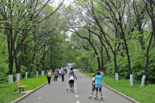 Harbin Forest Botanical Gardens