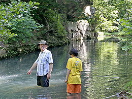 Bell Smith Springs
