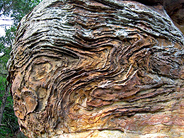 Swirling bands of iron deposits in sandstone.