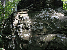 Sunlight and lichens on a massive stone in the shade of the forest