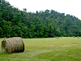 A narrow field of grass surrounded by forested hills