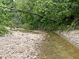 stony banks of a shallow and narrow creek