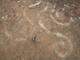 Swiring lines and spirals of petroglyph in Illinois