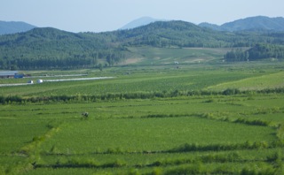 Harbin