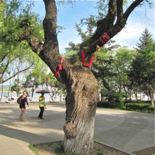 Mudanjiang