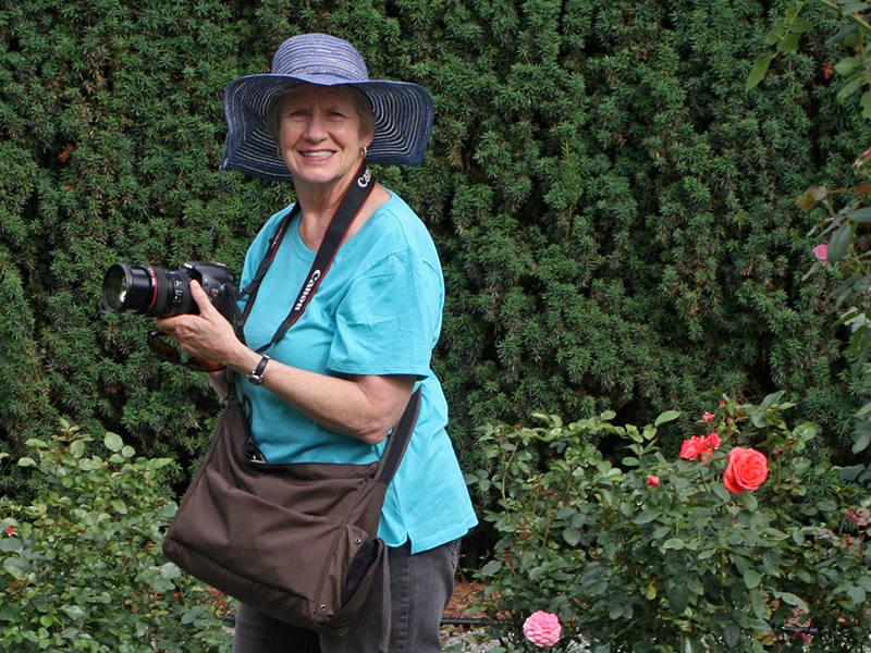 An older adult woman is beaming with pleasure and holding a camera with rose bushes behind her