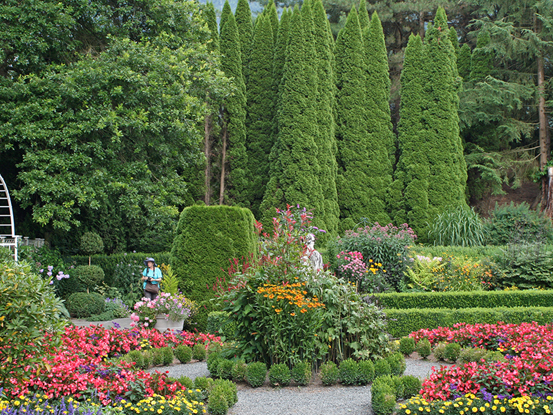 Flowers and hedges with trees as a backdrop