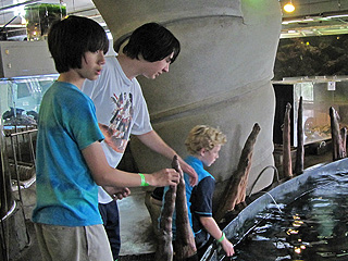 Arthur, Sebastian, and Dante at the aquarium