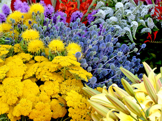 Farmers' Market flowers