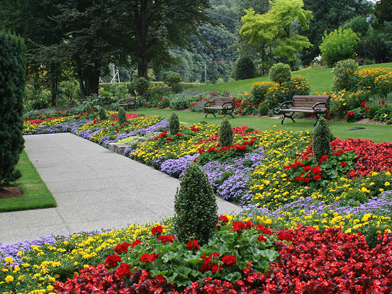 Formal garden with shrubs and flowers of yellow, red, and lavender colors