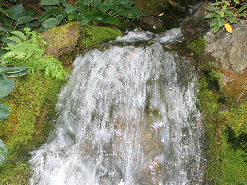 Small waterfall in the Minter Garden