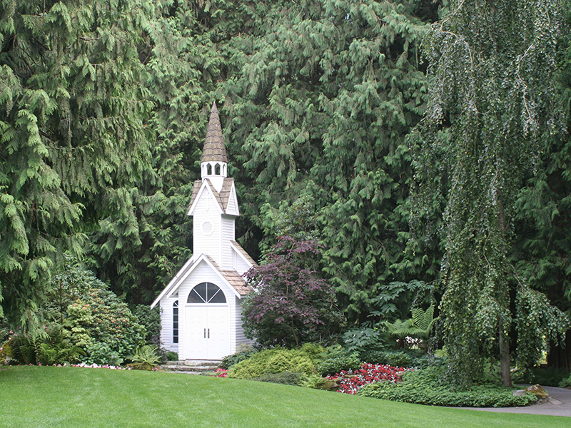 Tiny white chapel with impressive steeple among trees in a garden