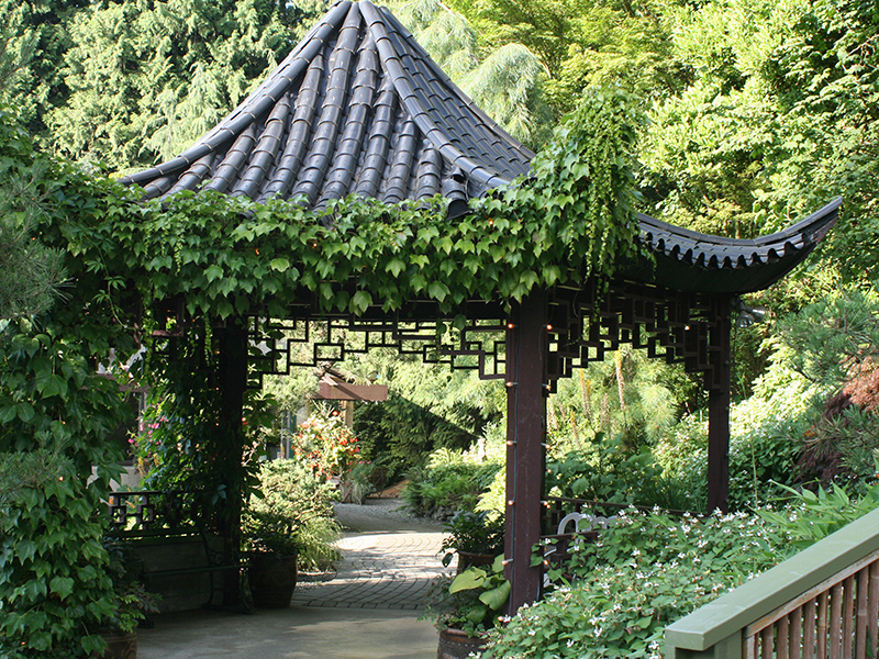 A Chinese-style pavilion with vines growing under the roof stands over a trail through the garden