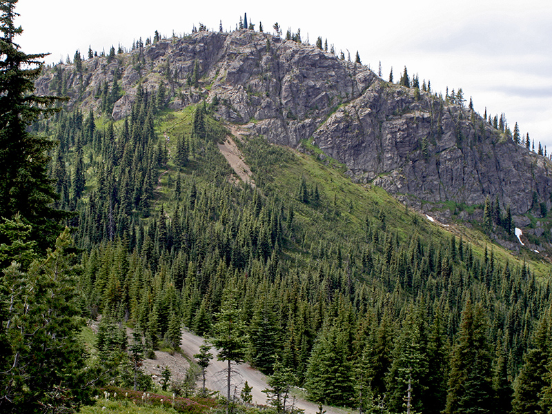 Blackwall Peak is a rocky hill seen from Alpine meadows parking lot