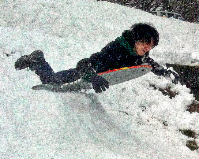 Arthur sledding