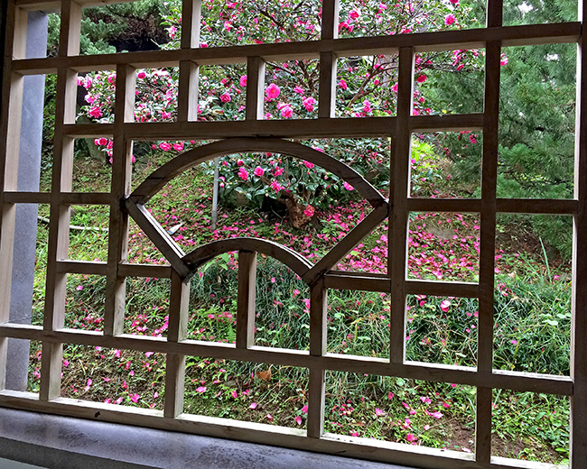 Window garden Palace Museum